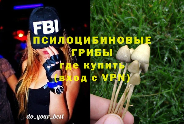 мескалин Алексеевка