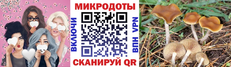 Галлюциногенные грибы ЛСД  Кизел 